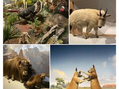 -陕西自然博物馆