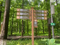 -黄海国家森林公园