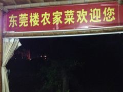 -东莞楼农家菜(金海湾大道分店)
