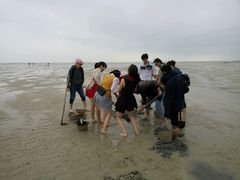 -北海金海湾红树林生态旅游区