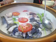 -全乐鱼馆·淳牌有机鱼直营店