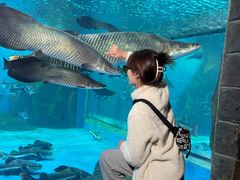 景点-多彩贵州城极地海洋世界