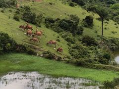 -大姆山草场