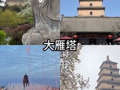 -福苗小骆驼烧烤(大唐不夜城店)