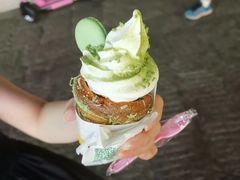 -野人先生现做冰淇淋(西安赛格店)