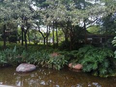 -宝能国际体育演艺中心