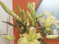 -洞庭家宴·头牌甲鱼(广渠门店)