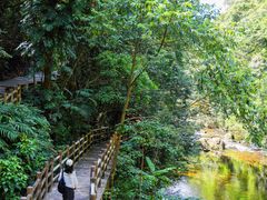 -广州市石门国家森林公园