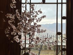 -松赞拉萨林卡酒店