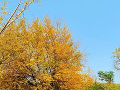 -南山风景名胜区