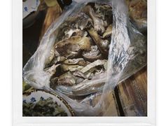 -石灰市毛记烧鸡公(解放碑店)