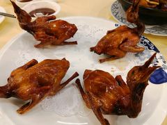 红烧乳鸽-中山国际酒店中餐厅
