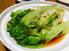 爆炒圆白菜-金掌勺·锅包肉(广渠门店)