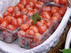 -南坛综合农贸市场