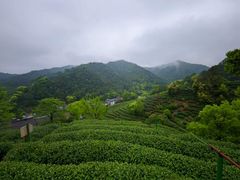 -十里琅珰
