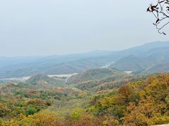 -天女山森林公园