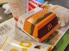 -麦当劳(朝阳北路店)