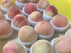 -老袁家蜜桃农场·阳山水蜜桃