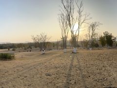 -盘龙城国家考古遗址公园