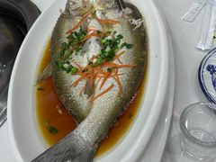 -丹水桥地锅鱼·翘嘴鲌·地方特色全鱼宴(丹江口大坝店)