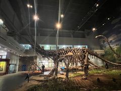 -自贡恐龙博物馆