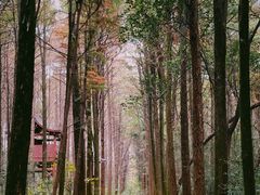 -同里国家湿地公园