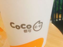-CoCo都可(常州勤业大润发店)