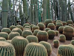 -南山植物园
