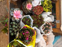 -双季花艺园艺市场(浦东店)