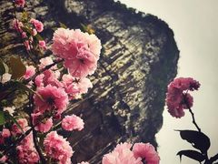 -南溪山景区