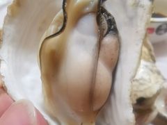 -宾朋海鲜特色美食餐厅·纯手工鲅鱼水饺(兴海路店)