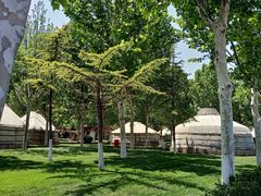 -九十九顶毡房(阜石路店)