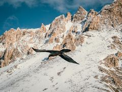 -天山神秘大峡谷