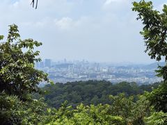 -火炉山森林公园