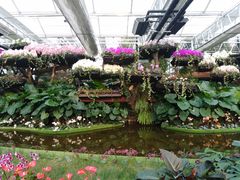 -兰陵国家农业公园