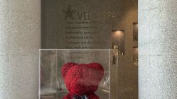 -VELEE·SPA高定疗愈会所
