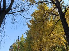 -成都市文殊院