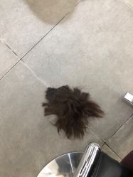 点击看大图 -MY HAIR ARDOR