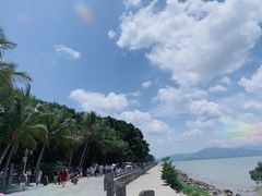 -深圳湾公园(南山区)