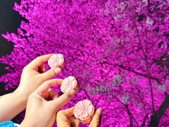 -珈境湖畔餐厅·湖北菜·江浙菜•樱花季(西北湖店)