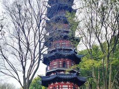 -上海佘山国家森林公园西佘山园