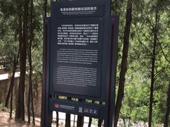 -延安杨家岭革命旧址