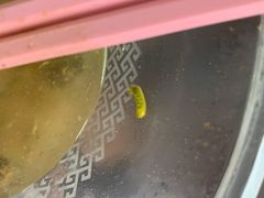 -泰顺江南春面馆
