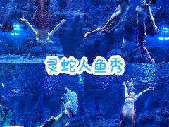 -郑州海洋馆