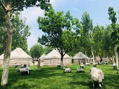 包房-九十九顶毡房(阜石路店)