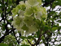 -苏州上方山国家森林公园
