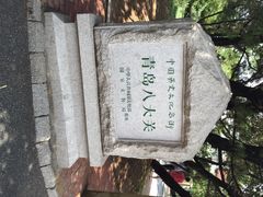 八大关景区-八大关景区