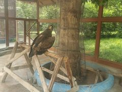 -石家庄市动物园