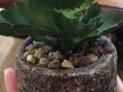 -兄弟宁乡龙城(麓景路店)