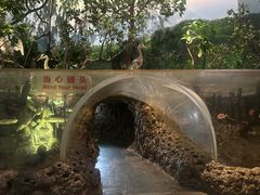 -中国湿地博物馆